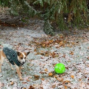 Meet your Posher, Josh